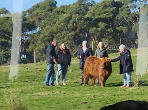 Ruby's Cottage Farm Stay, Port Arthur
